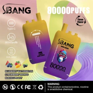 Bang Leader 80000 Puffs serija jednoraznih vapova, idealan za stalne korisnike