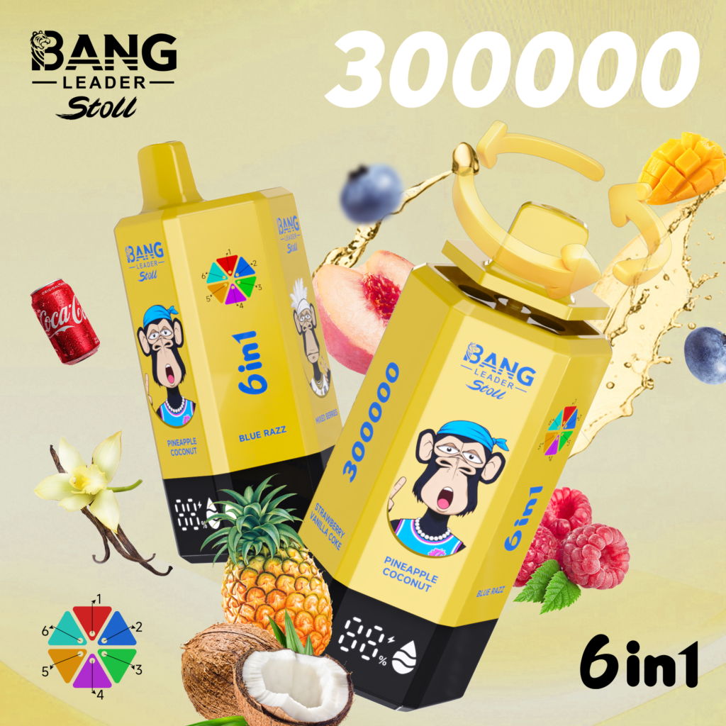 Bang Leader Stoll 300K Puffs 6IN1